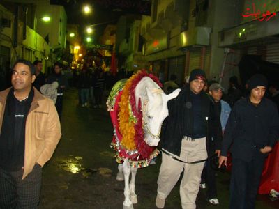DSC00616.jpg