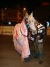 DSC00440.jpg