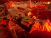 DSC00523.jpg