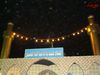 DSC01542.jpg