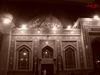 DSC01863.jpg