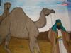 DSC01864.jpg