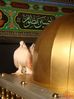 DSC01867.jpg