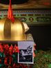 DSC01874.jpg