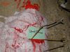 DSC01826.jpg