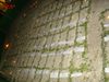 DSC01831.jpg