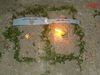 DSC01833.jpg
