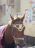 DSC01961.jpg