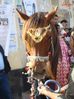 DSC01964.jpg