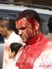 DSC07846.jpg