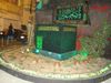 DSC08145.jpg