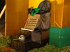 DSC08153.jpg