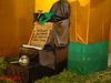 DSC08154.jpg