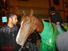 DSC03194.JPG