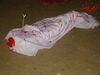 DSC03598.JPG