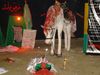 DSC03600.JPG