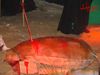 DSC03609.JPG