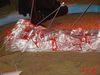 DSC03610.JPG