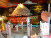 DSC03578.JPG