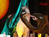 DSC03584.JPG
