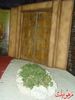 DSC06151.jpg