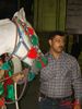DSC08276.jpg