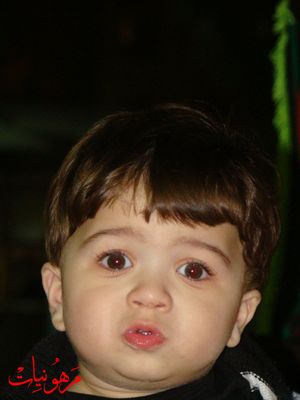 DSC08813.jpg