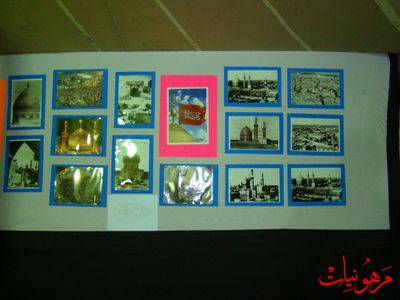 DSC08769.jpg