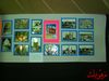 DSC08769.jpg