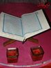 DSC08779.jpg