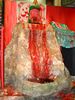 DSC08964.jpg