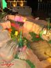 DSC09008.jpg