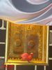 DSC09010.jpg