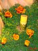 DSC09016.jpg