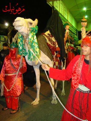 DSC09048.jpg