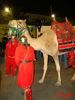 DSC09042.jpg