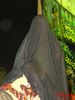 DSC09049.jpg