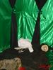 DSC08987.jpg