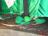 DSC08993.jpg