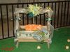 DSC08934.jpg