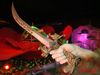 DSC08946.jpg