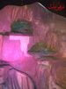 DSC08947.jpg