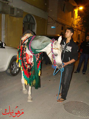 DSC09935.jpg