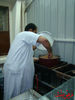 DSC09980.jpg