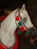 DSC00065.jpg