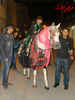 DSC00182.jpg
