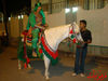 DSC00187.jpg