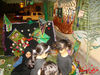 DSC00325.jpg
