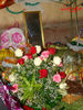 DSC00328.jpg