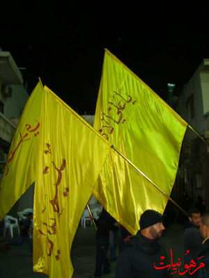 DSC00407.jpg